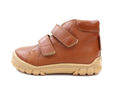 Angulus shoes cognac basic with TEX